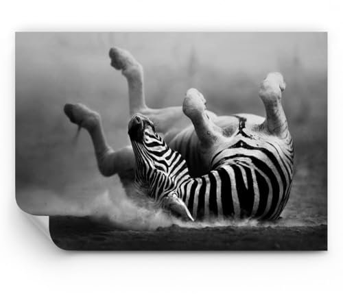 ARTTOR Fototapete Standard - Zebra Streifen Tier wild - 150x105 cm - Fototapeten Tapeten Moderne Wand Dekoration XXL Wandtapete Motivtapeten Bildtapete Schlafzimmer Wohnzimmer - WF1AA150x105-2699