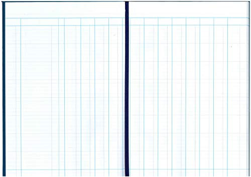 Guildhall Livre de comptes 31 Série 12 Colonnes de trésorerie 80 Feuille 298x203mm - Ref 31/12