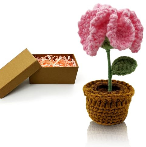 HeDaKang Geschenke Frauen Gehäkelte Blumen - Muttertag Geburtstag für Familien, Freunden, Kollegen Handgemachte Gestrickte Gartennelke Kunstpflanze Wohnzimmer Büro Auto Deko…