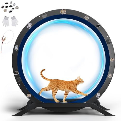 GTPLAYER Katzenlaufrad, laufrad Katze, Extra großer 100 cm, ultraleises Laufrad mit Abnehmbarer Teppich und Spielzeug, Aufkleber, Verriegelung, geeignet für die meisten Katzen, Metall, Blau
