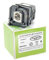 Alda PQ Premium, lampe de projecteur compatible avec les projecteurs EPSON EB-570, EB-575, EB-575W, EB-575Wi, lampe avec boîtier