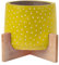 FabFinds Indoor Planter Indoor Decorative Flower Plant Pots (11cm, Spotty Yellow)