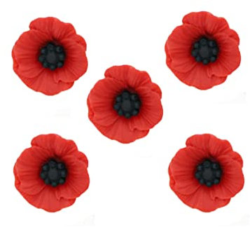 YEHJDSMD Lot de 5 broches en résine en forme de coquelicot rouge de 2,3 cm, Résine