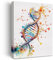 Oqtumes DNA Wandkunst Dekor Gerahmtes Gemälde Druck Leinwand Kunstwerk für Home Office Klassenzimmer 30,5 x 38,1 cm