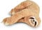 MikaMax, Faultier Kissen, Faultier Kuscheltier, 60 cm, XXL Kuscheltier, Teddy, Großes Kuscheltier, Babyshower, Babyparty Geschenke, Kinder Geschenk, Super Weich, 23,5 Inch
