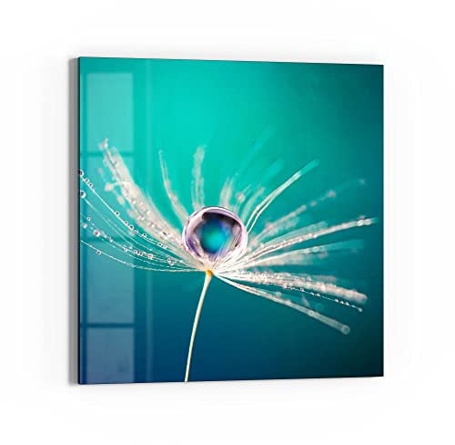 DEQORI Glasbild Echtglas | Motiv Samen mit Wassertropfen | quadratisch einteilig 50x50 cm | schöne Dekoration | Wandbild für Wohnzimmer, Schlafzimmer, Flur & Küche | moderne Wanddeko