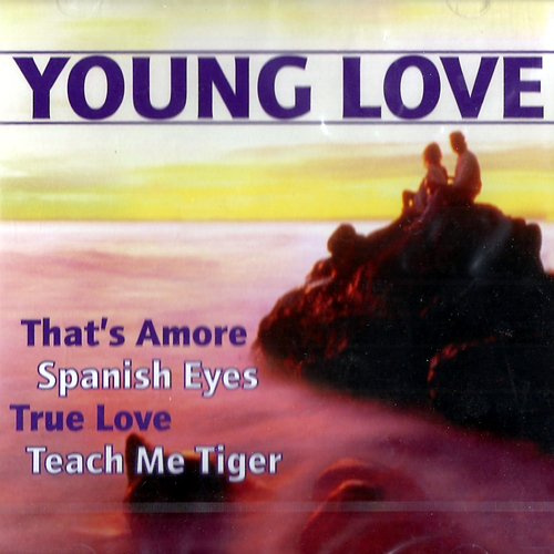 Romantische Love Songs - zum Verzaubern und Verführen und einfach Genießen (CD Album, 14 Titel) dean martin that's amore / bing crosby & grace kelly true love / herman's hermits the end of the world / april stevens teach me tiger / lulu to love somebody / cilla black you're my world u.a.