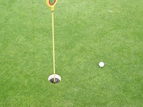 RSM-Rasensamen 4.1.2 Golfrasen Grün