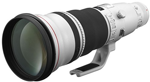 Canon EF 600mm f/4L IS II USM SLR Teleobiettivo Nero, Bianco