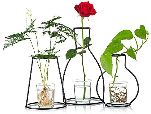 Nuptio Creativas De Escritorio con Jarrones De Cristal Y Soporte De Metal De Hierro para Plantar Agua, Arreglos Florales, Regalo para Decoración del Hogar, Centros De Mesa De Boda (3 Piezas)