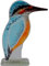 D&J Glassware Eisvogel