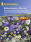Kiepenkerl Profi-Line Blumensamen-Mischung Balkonkasten-Blumen Meeresrauschen 3373 – Sommerblumen - lang blühende Sorte - Höhe 15-30 cm - Saatgut