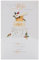 UK Greetings Weihnachtskarte für Ehefrau - Anspruchsvolles Design