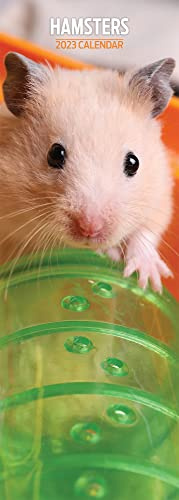 Hamsters 2023 Slim Kalender