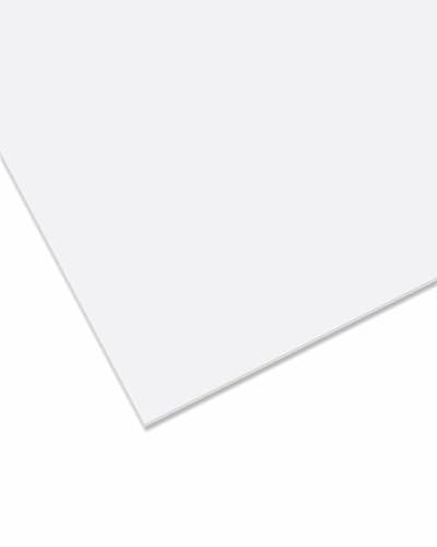 nattmann PLEXIGLAS® GS - Lámina de cristal acrílico irrompible para objetos luminosos y más, de color, 3 mm, color blanco opaco (WH01)