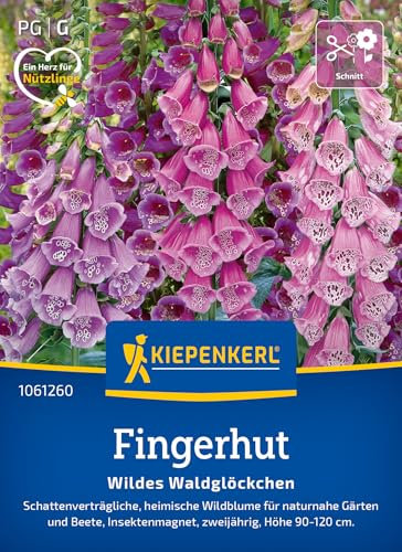 Kiepenkerl Fingerhutsamen Wildes Waldglöckchen 1061260 - Schattenverträgliche Fingerhut-Pflanze für naturnahe Gärten - Wildblumensamen, Blumenwiese