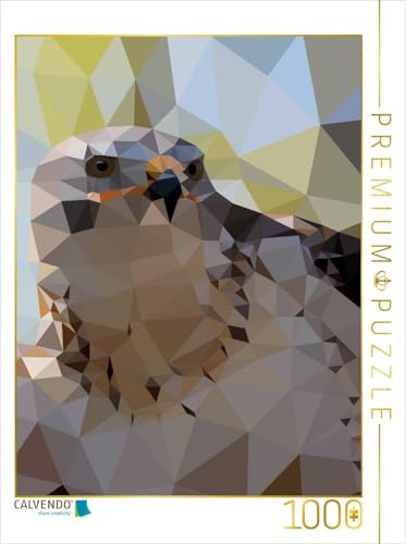 CALVENDO Puzzle Greifvogel | 1000 Teile Lege-Größe 48 x 64 cm Foto-Puzzle für glückliche Stunden