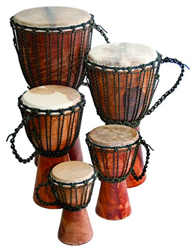 Terre Djembe Anfängertrommel 61cm hoch 22.9-26.7cm Kopf Mahagoni Holz Ziegenhaut
