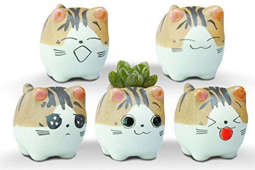 VanEnjoyzzkx Handmade Mini Cute Cartoon Ceramic Succulent Planters Cat, With Drainage Hole, Ceramic Cat Ornaments- Pack of 5