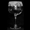 Animo Glass Gin-Ballonglas für Jagd, 70 cl