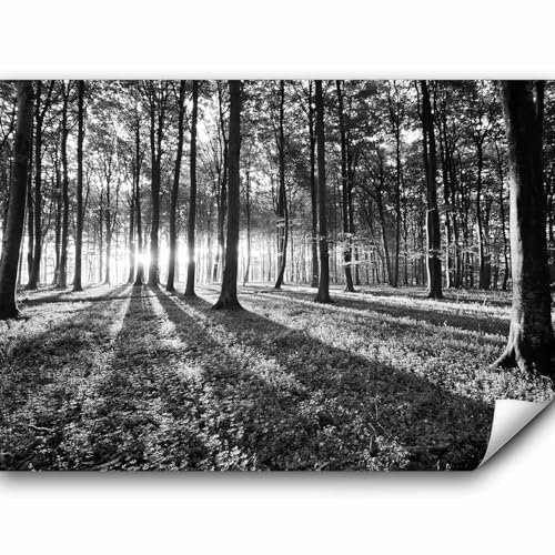 murando Fototapete Premium-Vlies Waldlandschaft 200x140cm Foto Tapete Schlafzimmer Wohnzimmer Vliestapete XXL Wandtapete Motivtapeten Bildtapete 3d Effekt Wand Dekoration Flur Natur Landschaft Bäume