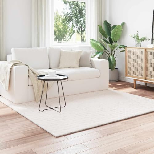 Ziaphsol Tappeto quadrato Sirolo, 120 x 120 cm, a pelo lungo, lavabile, antiscivolo, moderno, durevole, per soggiorno, camera da letto, corridoio, balcone, terrazza, adatto per riscaldamento a