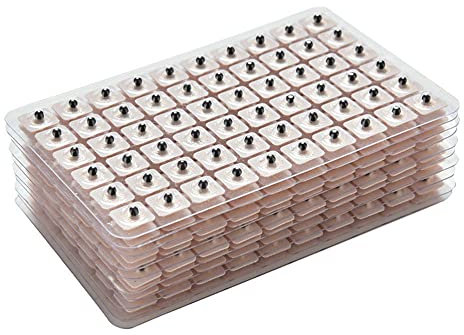 Allbestaye 600 Stücke Ohrsamen Pflaster Vaccaria Seed für Ohr Akupressur Ear Acupoints Sticker Beads Massage Stickers Disposable Ear Press Patch