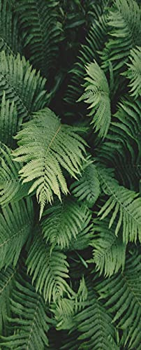 A.Monamour 3D Door Stickers for Interior Doors Green Fern Leaves Background Botanical Theme Vinyl Waterproof Self Adhesive Door Mural Decals for Bedroom Office Bathroom 85 x 215 cm