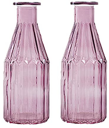 Glasflasche Shoot, Glas Vase (2er Set) - kleine Vasen, Tischdekoration, Glasvase, Blumenvase, Flaschenvase, Landhaus (Lila)