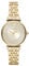 Emporio Armani Watch AR11608