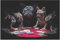 Poster, Motiv Poker Dogs, groß, 61 x 40,6 cm