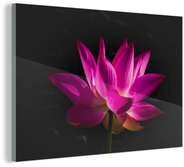 MuchoWow Glasbild Glasfoto Wandbild Bilder Deko 90x60 cm Lotus - Rosa - Blume