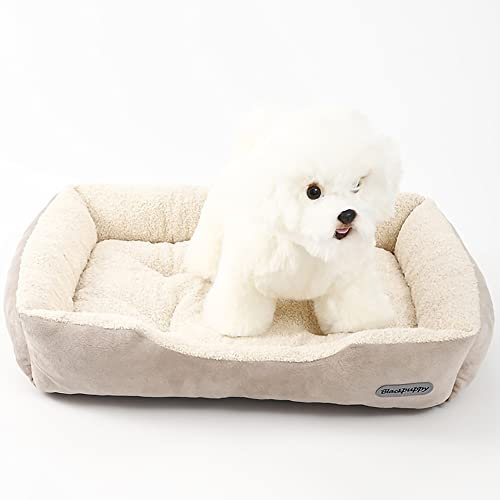 Nyescasa Hundebett Katzenbett Hundecouch Hundematte Hundekörbchen Katzenschlafplatz Hundesofa Katzensofa Kissen Plüsch Waschbar rutschfest Orthopädische für Große Katzen Hunde Beige L(61 * 52 * 13)