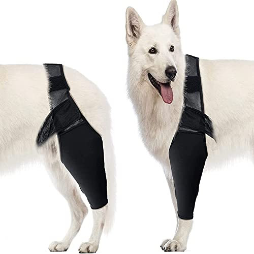 Fabater Ellenbogenschutz für Hunde, Ellenbogenbandage für Hunde, Ellenbogen- und Schulterstütze für Hunde, Kniebandage für Hunde bei Dysplasie, Arthritis, Dekubitus, Schulterluxation (M)