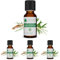 Voshuiles - Huile Essentielle Arbre à Thé - 20ml - Parfum Légèrement Piquant, Citronné, Boisé et Terreux - 100% Pure et Naturelle - HEBBD - Entreprise Française (Lot de 4)