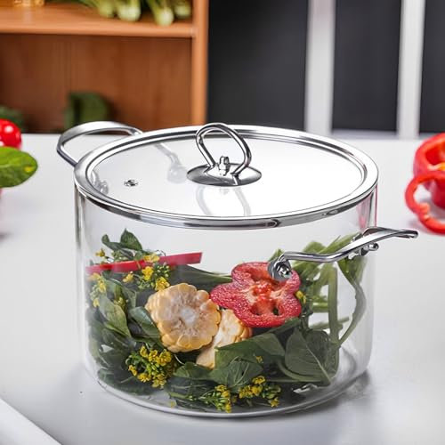 Pentola in vetro con coperchio -40 – 300 °C, 20 x 29,5 cm, con 2 manici resistenti al calore, per zucca, antiaderente, moderna, semplice e semplice, in vetro, in vetro trasparente (L)