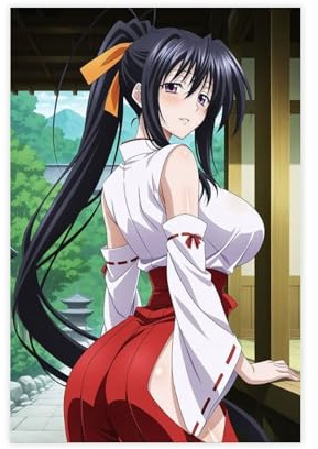 High School DXD Anime-Leinwand-Poster, Wandkunstdruck, Bild, Gemälde, 20 x 30 cm