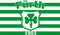 Generisch Fürth Fahne 90x150 cm, Grün, Polyester, Wetterfest, Rechteckig, Flagge, Stadt, Alle Gelegenheiten, Öffentliche Darstellung, Zimmer, Garten, Außenbereich