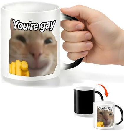 Mug Magique Cadeau pour Ami Gay Humour Tasse qui Change de Couleur Avec la Chaleur Idee Cadeaux Anniversaire pour Homme Collègue Meilleure Amie Collegue Mugs Drole Cappuccino Ceramique Tasses a Cafe