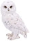 Nemesis Now Snowy Armbanduhr, klein, 13,3 cm, Weiß, Einheitsgröße
