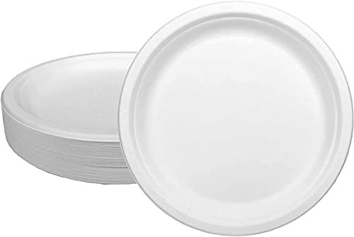 Ecorigin Platos desechables y ecológicos de caña de azúcar. Pack de 500 Unidades y 26 cm. Compostables y biodegradables.