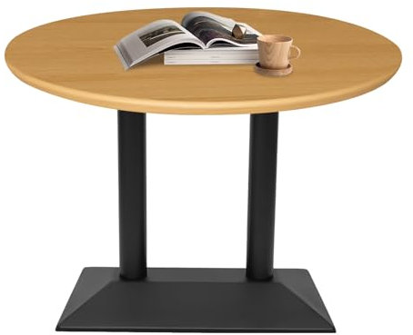 Froulaland Tischgestell Tischbein Edelstahl | Doppelhalterung | Premium | Esstisch | Höhe 73 cm | 12 kg | Bodenplatte 70x40 cm | Für Die Meisten Schreibtische Geeignet Anti-Rutsch Und Anti-Fall