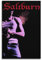 Generisch Saltburn Leinwand-Poster, Wandkunst, dekoratives Wohnzimmer-Poster, Schlafzimmer-Poster, 30 x 45 cm, ungerahmter Stil