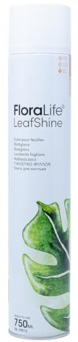 Flowerbox FLORALIFE® Blattglanz - 750 ml - 1 Stück