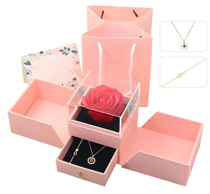 hssopa Véritable rose rouge conservée avec collier en argent sterling S925, rose éternelle avec collier « Je t'aime » en 100 langues pour petite amie, elle, allgemein, Collier en 100 langues