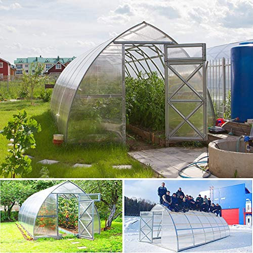 Tunnel Serre en polycarbonate renforcée 3 x 8 m pour garage, potager, jardin, plantes, serre box 8 x 3 m