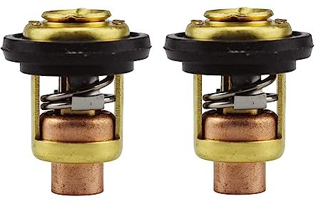 ANP PUAUTO 2Pcs Boat Motor Thermostat Valve Thermostat Kit Compatible with YAMAHA Outboard Motor Replace 6E5-12411-00