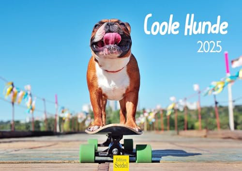 Edition Seidel Premium Kalender Coole Hunde 2025 Format DIN A3 Wandkalender Hundekalender Hund Welpe Hunderasse Haustier lustige Sprüche