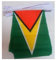 AZ FLAG - Fahnenkette Guyana 12 Meter Mit 20 Flaggen - 45x30 cm - Kooperative Republik Guyana Girlande Flaggenkette 30 x 45 Cm