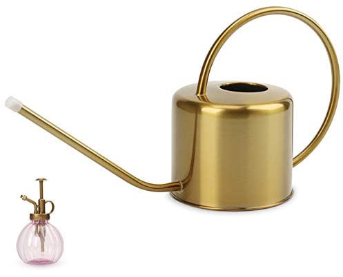 Remiawy Gießkanne für Innen- und Außenbereich, Edelstahl-Gießkannen für Zimmerpflanzen, langer Auslauf, Wasserkanne für Sukkulenten, Bonsai, Gartenblume (1300 ml)